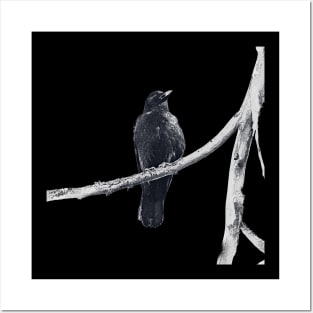 dark drawing of crow on a branch Posters and Art